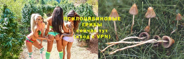 гашиш Богородицк